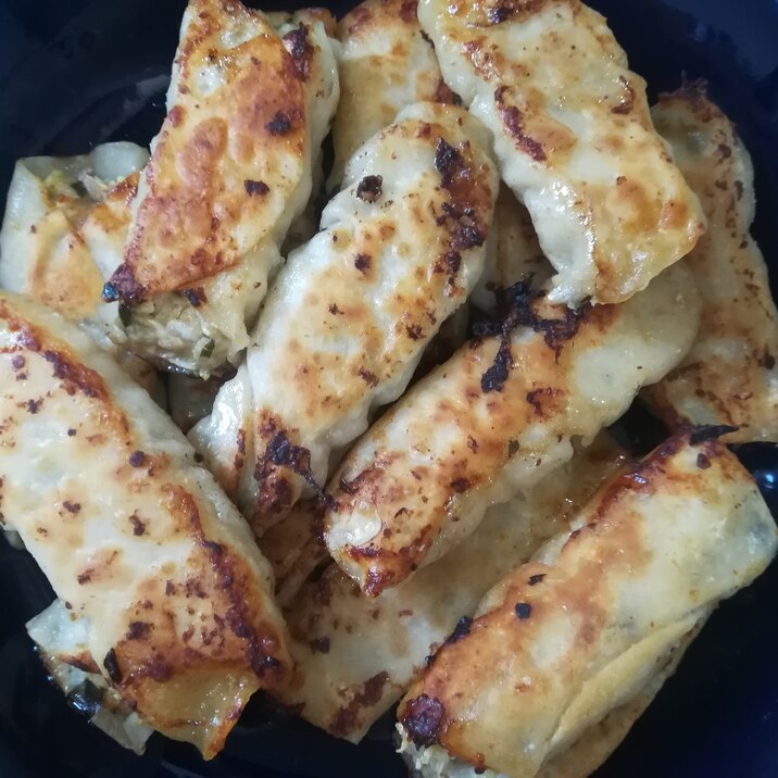 包まず簡単！キャベツとひき肉で棒餃子